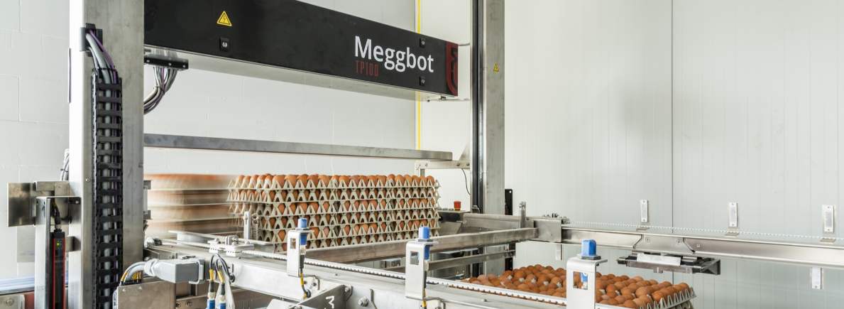 Grading & Processing