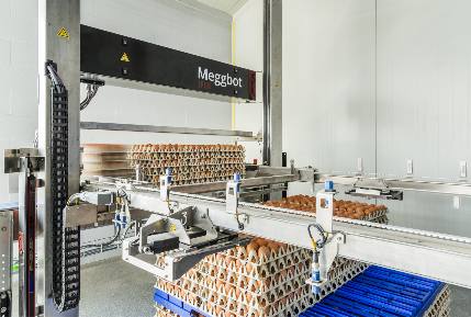 Grading & Processing