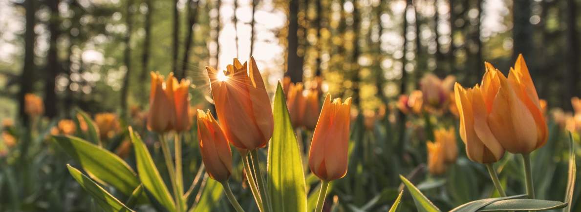 News Item Test Title 102