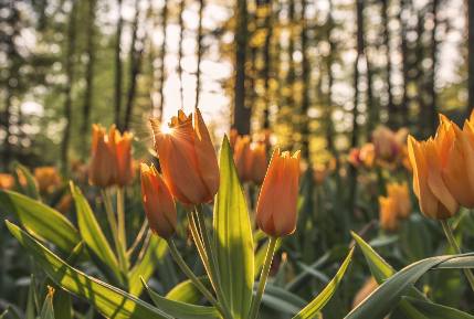 News Item Test Title 101