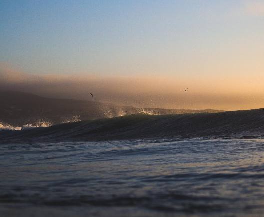 Test Partner Title 2